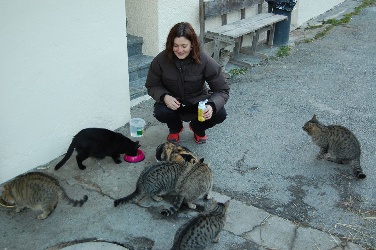 Sarah Cullen caring for the local feral cat population who are now neutered and health-checked